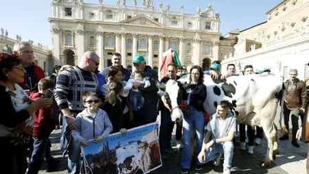 În Piața Sfântul Petru, cu vaca și tractorul, la slujba celebrată de Papa Francisc