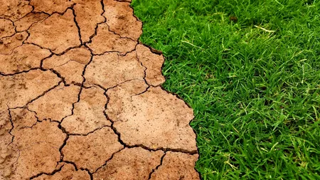 Când vor primi fermierii despăgubirile pentru secetă