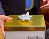 USR descoperă integritatea cu o cutie de pantofi. Gestul teatral din Parlament nu ține loc de reformă
