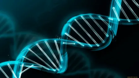Cancer. Testarea genomică pentru identificarea unui tratament personalizat