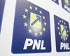 PNL, fără listă de candidați la Camera Deputaților în Diaspora