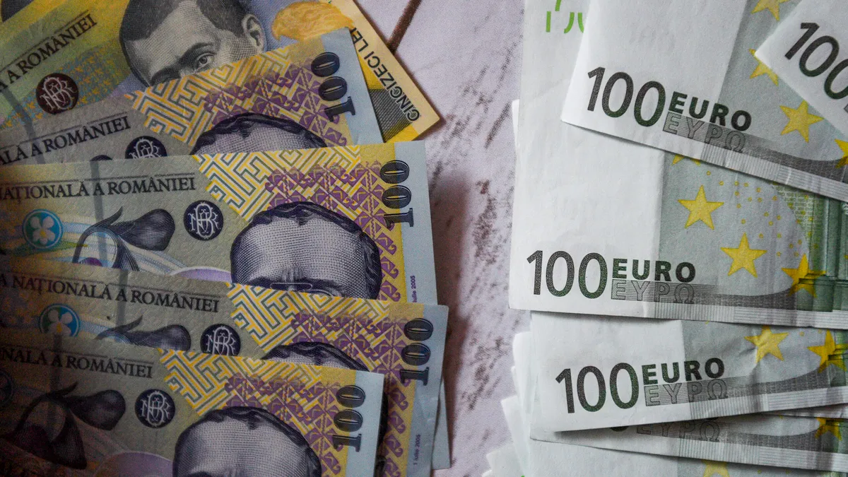 România poate intra în zona euro doar prin referendum. Asta nu înseamnă „că-l apuci pe Dumnezeu de un picior!”