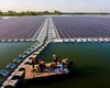 Ţara care a instalat într-o lună mai multă energie fotovoltaică decât UE într-un an