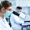 Neuroni noi și la bătrânețe: revelația care ar putea revoluționa medicina