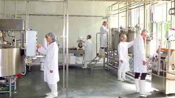 Brevet de invenție pentru tehnologia de producere a foliei comestibile, din proteină din carne, pentru produsele alimentare