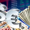 Moneda națională a continuat, marți, aprecierea. 4,976 lei pentru un euro