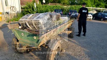 Ce a descoperit Poliţia de Frontieră într-o simplă căruţă