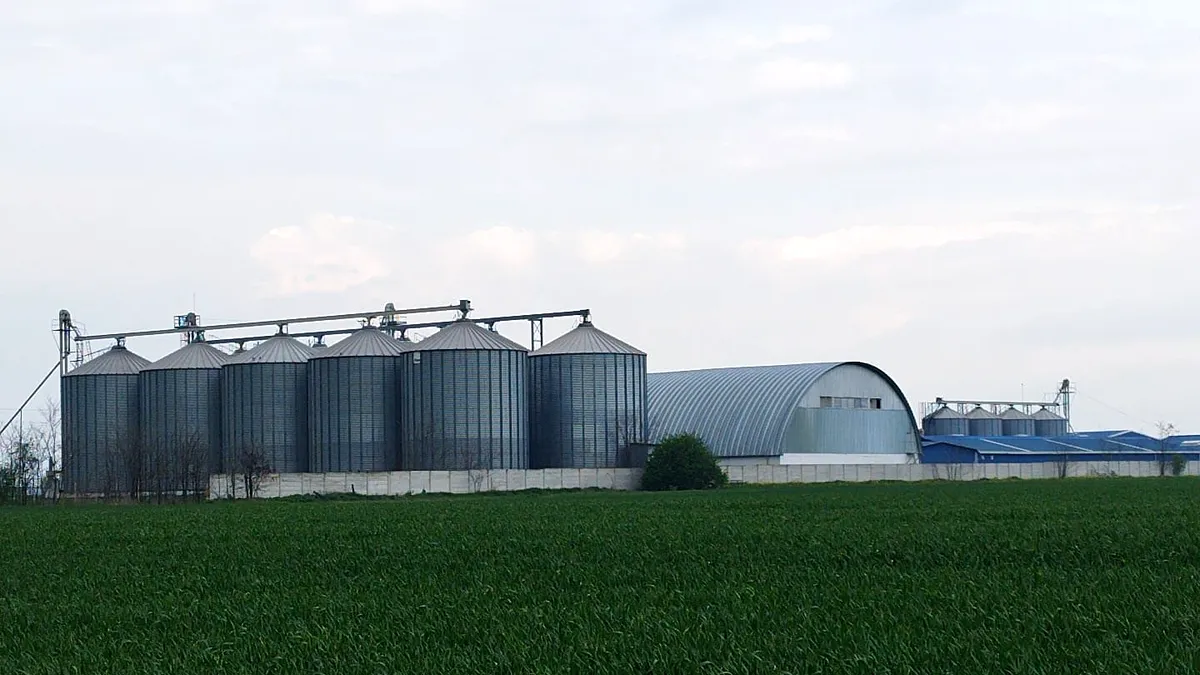 Fermierii români pierd 29,7 milioane de euro. Daea a fost degeaba la Bruxelles