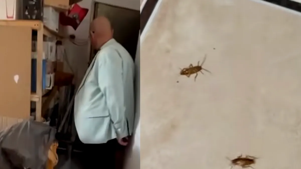 Un restaurant din Mangalia, închis de ANPC după descoperiri șocante: „O luați de la zero!”