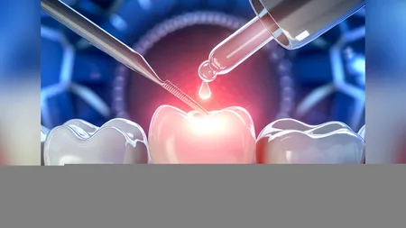 Premieră mondială: Medicamentul care regenerează dinții, testat în Japonia