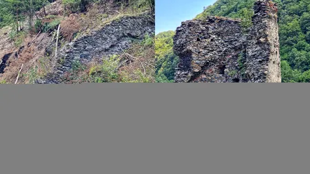 Descoperiri surprinzătoare în urma defrișărilor de pe Valea Oltului: Ruinele Turnului Spart de la Boița