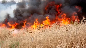 Peninsula Iberică, în flăcări: de ce incendiile continuă să devasteze Spania și Portugalia