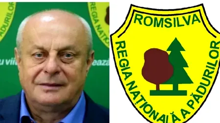 Cine este pensionarul remunerat lunar ca director de direcție silvică cu 8.000 de euro