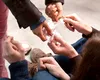 Vârsta consumului de droguri scade alarmant. Cazuri chiar și la copii de 8 ani