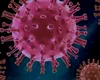 Gripa, ”amenințarea numărul 1” pentru o viitoare pandemie