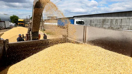 Ministrul Agriculturii vrea restricții la cerealele din Ucraina, până la sfârșitul anului