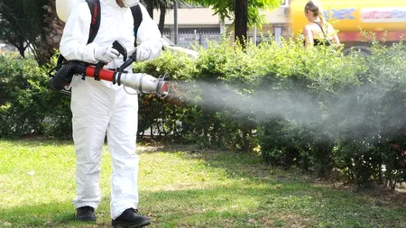 De ce trebuie să apelezi la servicii profesionale de dezinsecție dacă vrei să scapi de dăunători?