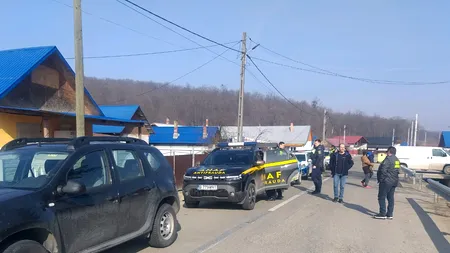 Afacere ilegală cu trufe: Amenzi uriașe și dosar penal pentru o firmă care a recoltat aproape 18 tone fără drept