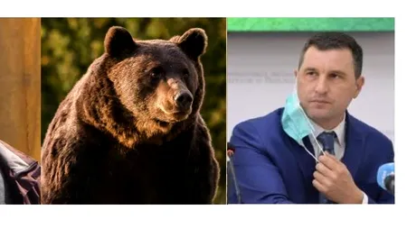 EXCLUSIV. Barna Tanczos, ministrul Mediului, este  implicat direct în uciderea ursului Arthur