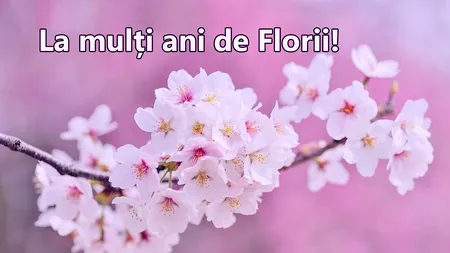 Mesaje de Florii. Urări și felicitări frumoase pentru sărbătoriții zilei
