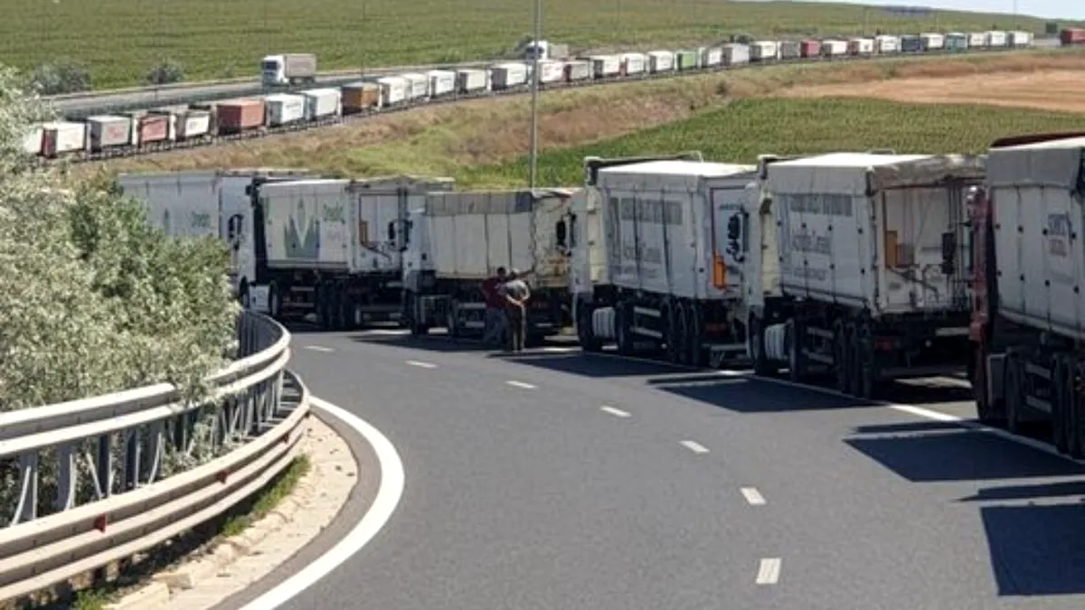 Ce le pregătește transportatorilor Administrația Portului Constanța pentru septembrie
