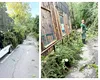 Grădina Zoologică din București, închisă temporar din cauza furtunii