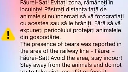 „Ro Alert” în județul Brăila după ce la Făurei a fost văzută o ursoaică cu pui