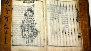 Biblia tratamentelor clinice: Dongeui Bogam, capodopera unui medic de la Curtea Regală a ultimei dinastii coreene. Tratatul e folosit și acum de specialiști