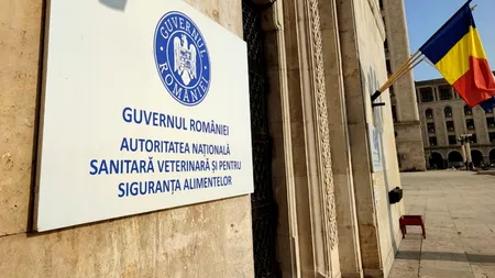 Scandal la DSVSA Brăila: Vicepreședintele ANSVSA convoacă o reuniune de urgență