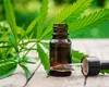 Specialiștii sunt rezervați în privința legiferării canabisului în scop medical