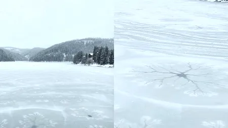 Fenomen spectaculos pe Lacul Beliș din Munții Apuseni. Pe luciul apei au apărut adevărate opere de artă