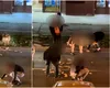 Gest șocant în Timișoara: O femeie a aruncat 13.000 de euro pe șosea