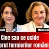 Cine sau ce ucide viitorul fermierilor români? Eurodeputatul Maria Grapini vine cu explicații