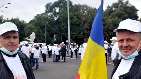 Crescătorii de porci solicită Guvernului să declare stare de calamitate în sector. România riscă să rămână fără carne din producția internă de Sărbători
