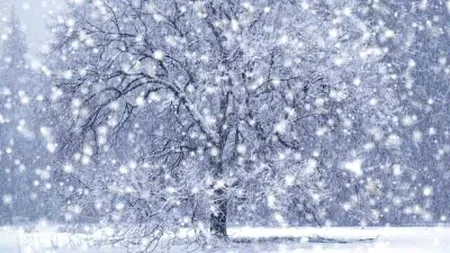 Ninge ca în povești! Care sunt cele mai cunoscute creații literare unde găsim peisaj de iarnă