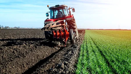 Terenurile agricole contaminate cu metale grele: o amenințare globală pentru sănătate