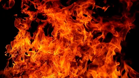 Incendiu la prefectura din Bistrița: dezinfectanții pentru secțiile de votare, distruși