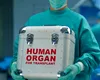 Record european: Transplant de inimă cu organul ținut în afara corpului timp de 12 ore