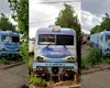 Locomotiva CFR Călători pe care nu o mai vrea nimeni. A fost lăsată în bălării, în așteptarea reparațiilor