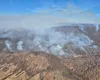 Incendii de vegetație în România: Victime și pagube semnificative în urma focarelor din martie 2025
