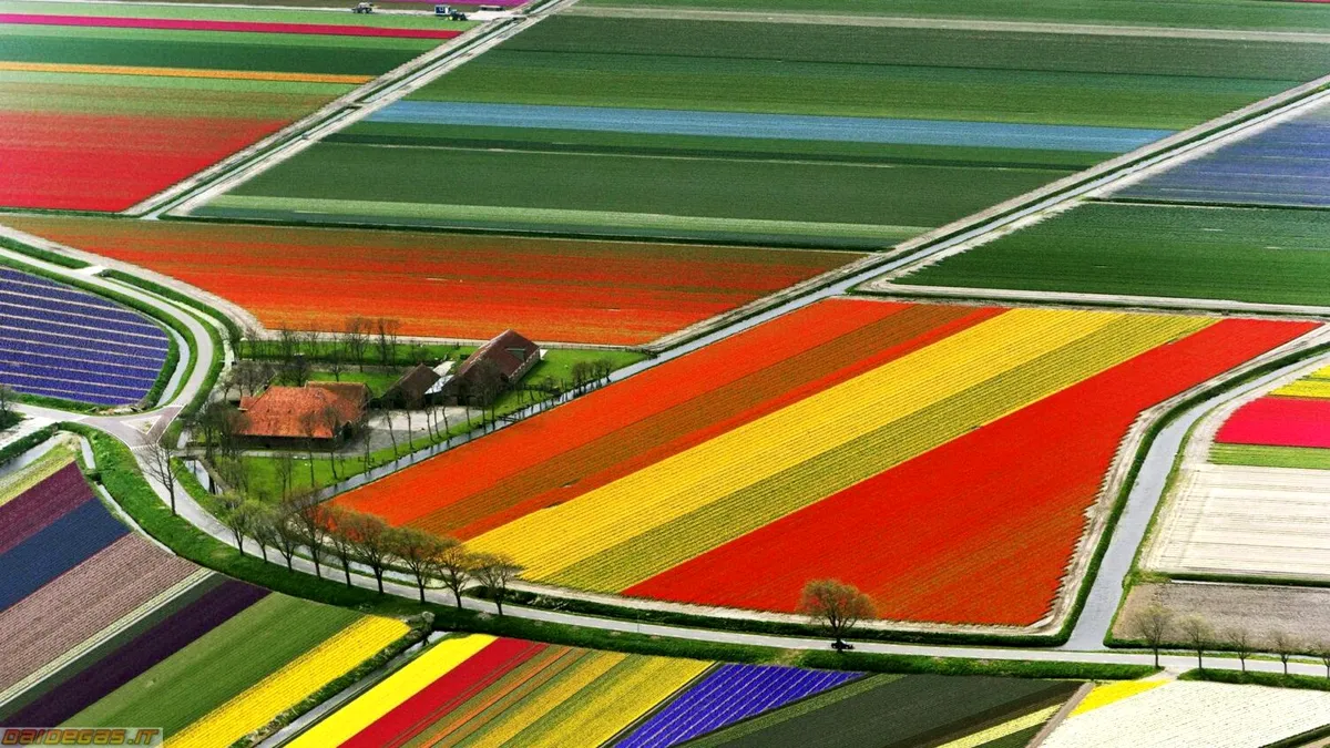 Cât a ajuns să coste hectarul în țara cu cele mai scumpe pășuni și terenuri agricole din Europa