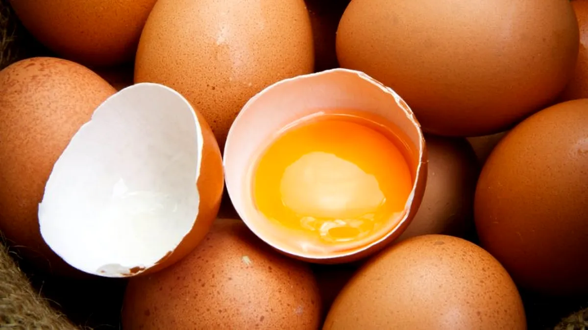 Cum deosebești ouăle sănătoase față de cele provenite de la găini crescute forțat