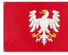 Oamenii de știință au rezolvat principalul secret al celebrei dinastii regale a Poloniei. Legătură uimitoare