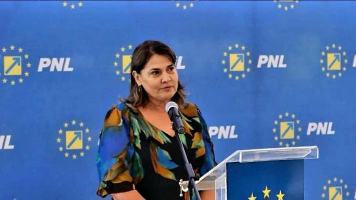Cine va lua locul lui Nicolae Ciucă în Senat