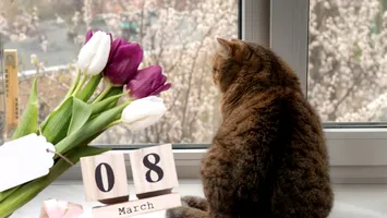 Prognoza meteo pentru 8 martie 2026. Cum va fi vremea în România