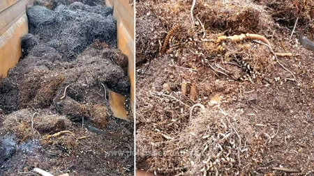 Cantitate impresionantă de deșeuri ilegale oprită de Poliția de Frontieră Giurgiu, la intrarea în țară, în primele nouă luni ale anului