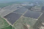 Iepurești, iepurele solar care sare direct în rețeaua națională