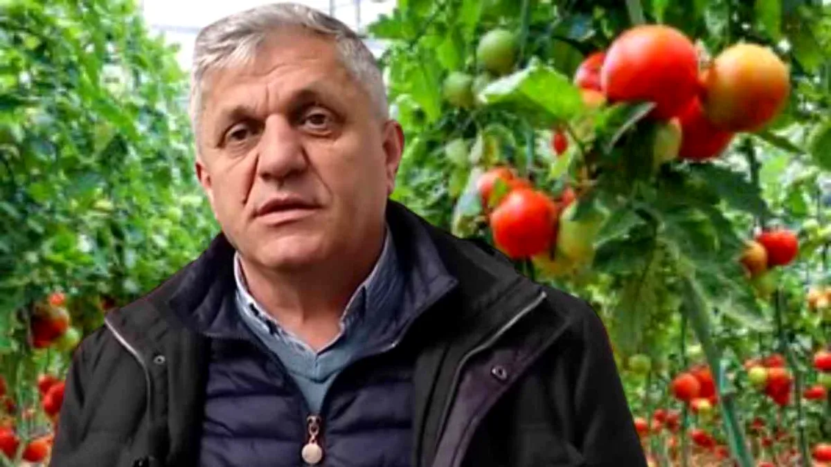 Programul „Tomata”? Mai bine s-ar preschimba în programul „Solarul”!