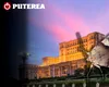 Molii sau fluturi? Ce sunt, de fapt, insectele care au cotropit blocurile din București