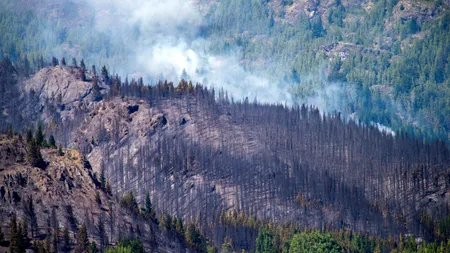 Din SUA, incendiile devastatoare s-au mutat în Argentina